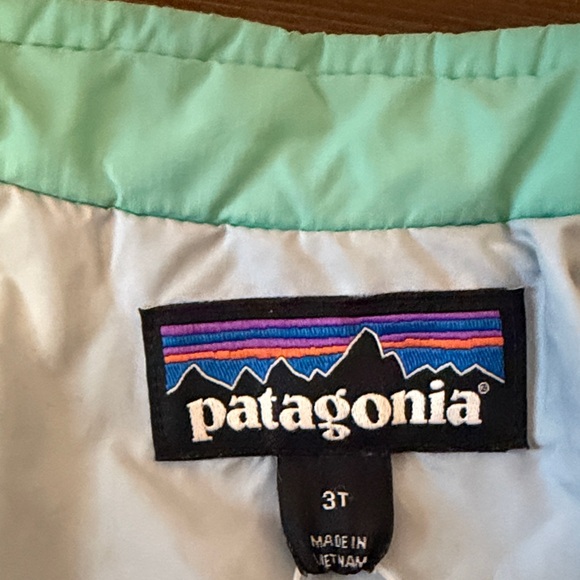 Patagonia Light Green Quilted Jacket - Picture 2 of 6